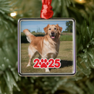Anpassningsbar 2025 Pet Photo Julgransprydnad Metall