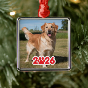 Anpassningsbar 2026 Pet Photo Julgransprydnad Metall