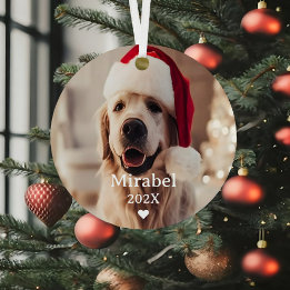 Anpassningsbar 2 Pet Photo & Monogram Namn Julgransdekoration