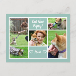 Anpassningsbar 5 Fotokollage Family Pet-meddelande Vykort