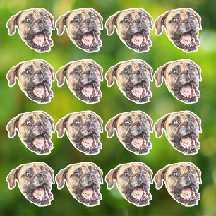 Anpassningsbar Ansikte Hund Stickers Personlig 16  Klistermärken