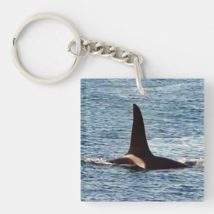 Anpassningsbar Aquarius Orca West Coast Community