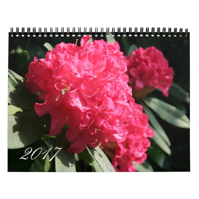 Anpassningsbar År 2017: Kalender för rumsfoto (Omslag)