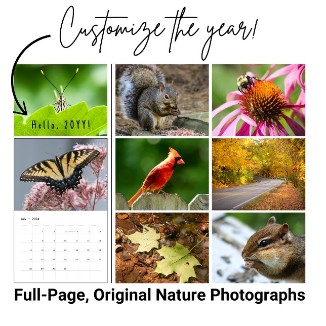 Anpassningsbar-årskalender för Wildlife-fotografi Kalender (Beautiful images of nature fill this wildlife calendar for 2026. )