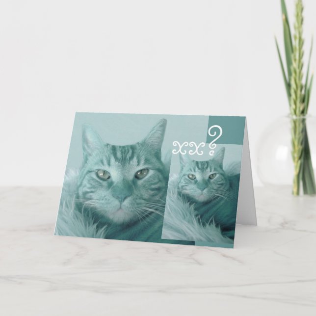 Anpassningsbar-årskort - AQUA BLUE Cat Kort (Framsida)