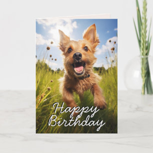 Anpassningsbar Australian Terrier Grattis på födel Tack Kort