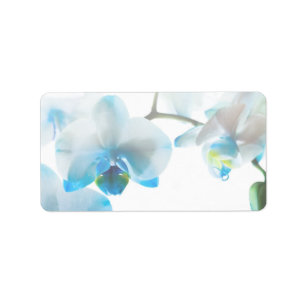 Anpassningsbar av elegant Blue Orchids-etiketter Adressetikett