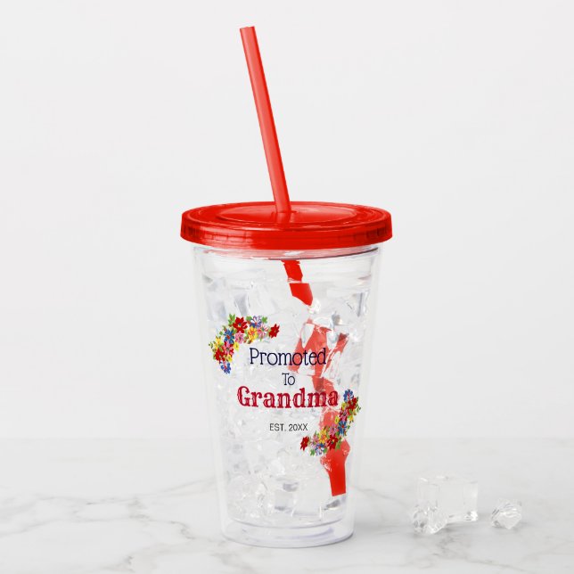 Anpassningsbar befordrad till farmaceutisk akryl-t take away mugg (Framsida Ice)