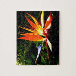 Anpassningsbar Bird of Paradise Puzzle - Brilliant Pussel