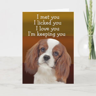 Anpassningsbar Birthday Card Kung Charles Cavalier Tack Kort