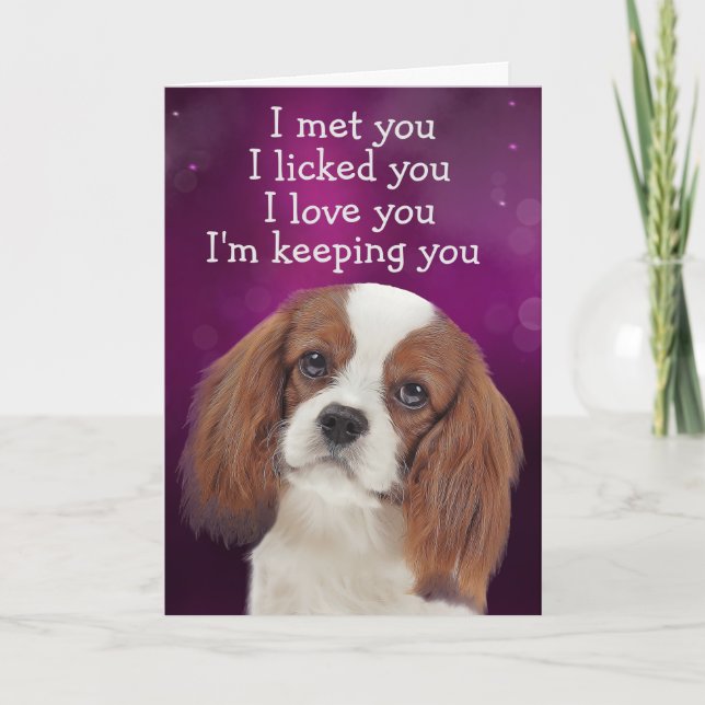 Anpassningsbar Birthday Card Kung Charles Cavalier Tack Kort (Framsida)