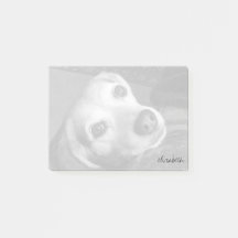 Anpassningsbar Black & White Pet Photo Modern Tren