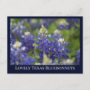 Anpassningsbar Blue Vår Bluebonnet Texas State Flo Vykort