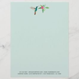 Anpassningsbar Broad-billed Hummingbird Brevhuvud