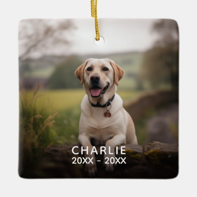 Anpassningsbar Buffalo Play Photo Pet Memorial Julgransprydnad Keramik (Framsida)