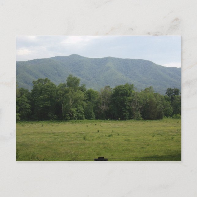 Anpassningsbar Cades Cove-vykort Vykort (Framsida)