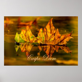 Anpassningsbar Carpe Diem med färgad löv Poste Poster
