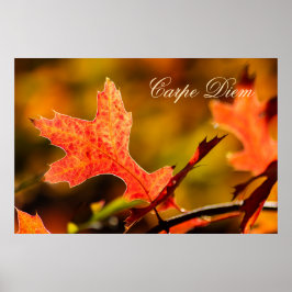 Anpassningsbar Carpe Diem med färgad löv Poste Poster