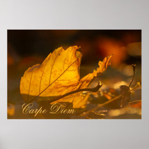 Anpassningsbar Carpe Diem med färgad löv Poste Poster