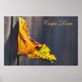 Anpassningsbar Carpe Diem med färgad löv Poste Poster