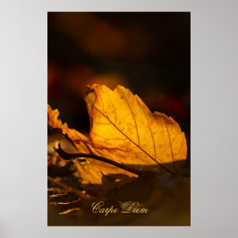 Anpassningsbar Carpe Diem med färgad löv Poste Poster