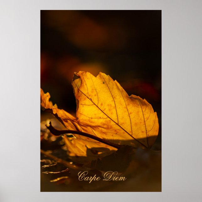 Anpassningsbar Carpe Diem med färgad löv Poste Poster (Framsidan)