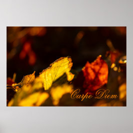 Anpassningsbar Carpe Diem med färgad löv Poste Poster