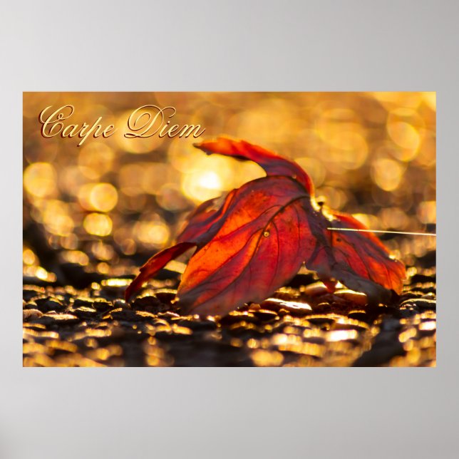 Anpassningsbar Carpe Diem med färgad löv Poste Poster (Framsidan)
