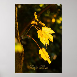 Anpassningsbar Carpe Diem med färgad löv Poste Poster