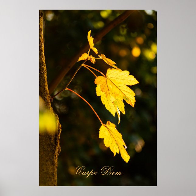 Anpassningsbar Carpe Diem med färgad löv Poste Poster (Framsidan)