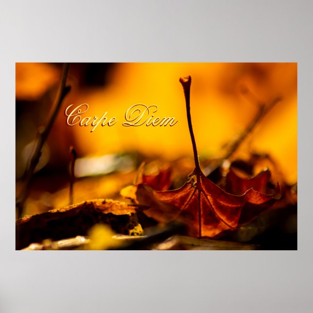 Anpassningsbar Carpe-diem med färgad löv Poster (Framsidan)