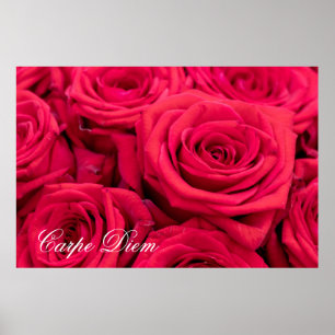 Anpassningsbar Carpe Diem med röd ros Poster