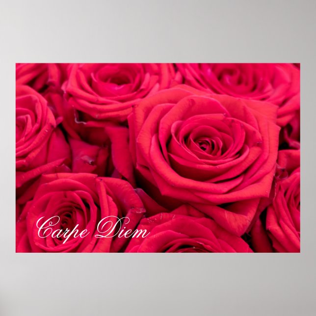 Anpassningsbar Carpe Diem med röd ros Poster (Framsidan)