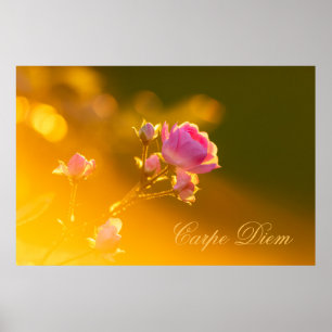 Anpassningsbar Carpe Diem med vacker ro! Poster
