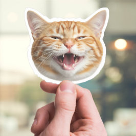 Anpassningsbar Cat Ansikte-fästmärke - Personlig P Klistermärken