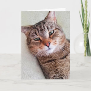 Anpassningsbar Cat ger dig ett parkeringskort Kort