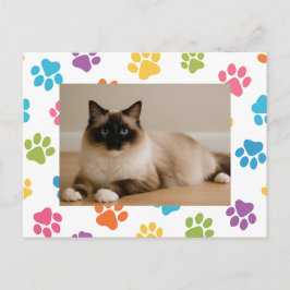 Anpassningsbar Cat Lover-vykort med foto Vykort