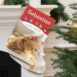 Anpassningsbar Cat Namn Photo Liten Julstrumpa