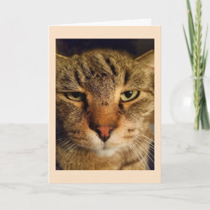 Anpassningsbar Cat Photo Miss You Kort