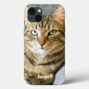 Anpassningsbar Cat Photo Namn