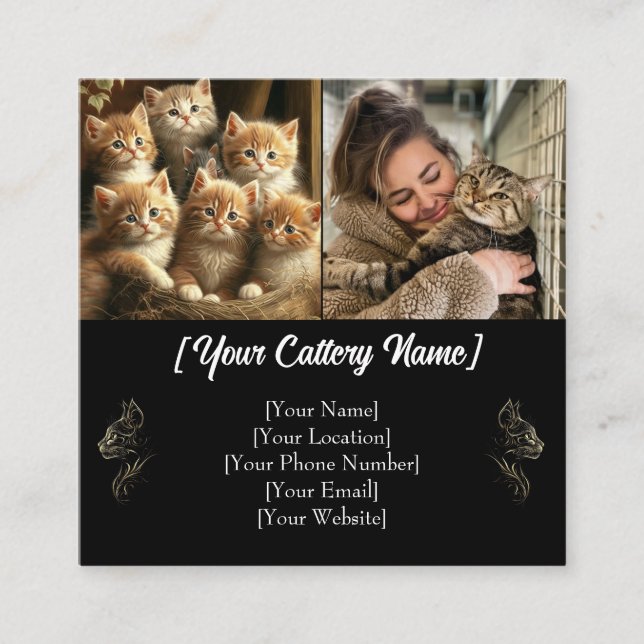 Anpassningsbar Cattery Affärskort med Photos & QR- Fyrkantigt Visitkort (Framsida)