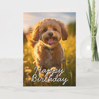 Anpassningsbar Cavoodle/Cavapoo Grattis på födelse Tack Kort