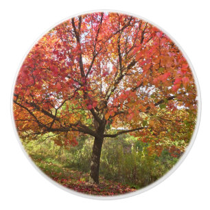 ANPASSNINGSBAR CERAMIC KNOB’AUTUMN SPLENDOR’/TRÄD KNOPP