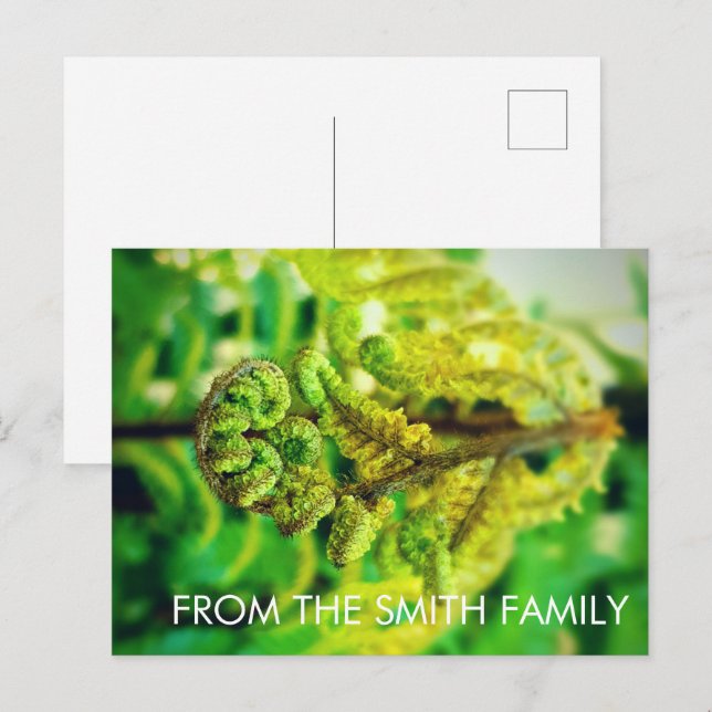 ANPASSNINGSBAR CHIC GRÖNT LEAFY TROPICAL FERN NEW  VYKORT (Fram/baksida)