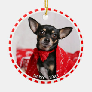 Anpassningsbar Chihuahua Hund Photo with Red & Whi Julgransprydnad Keramik