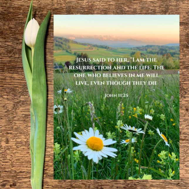 Anpassningsbar Christian Bible Verse Original Natu Helg Vykort (Beautiful original daisy photo with custom Christian Bible verse John 11:25 Easter resurrection card)