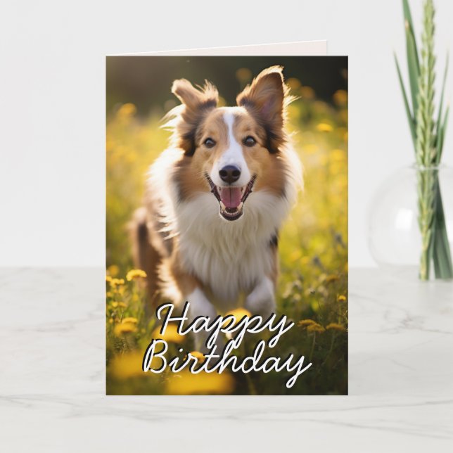 Anpassningsbar Collie Grattis på födelsedagen Card Tack Kort (Framsida)