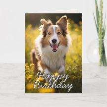 Anpassningsbar Collie Grattis på födelsedagen Card