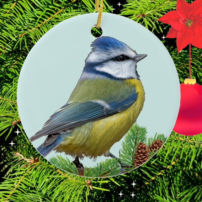 Anpassningsbar Cute Blue Gult Bird Photo Ornament (Skapare uppladdad)