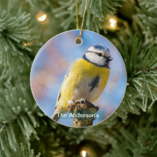 Anpassningsbar Cute Blue Gult Bird Photo Personlig Julgransprydnad Keramik